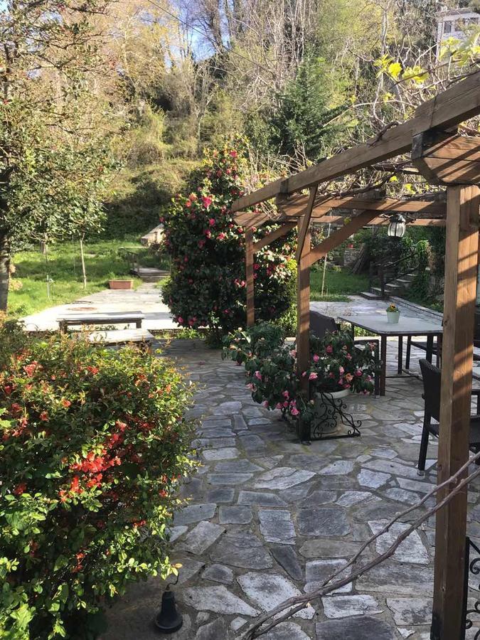 Ellis Full Guest House Tsagkarada Dış mekan fotoğraf