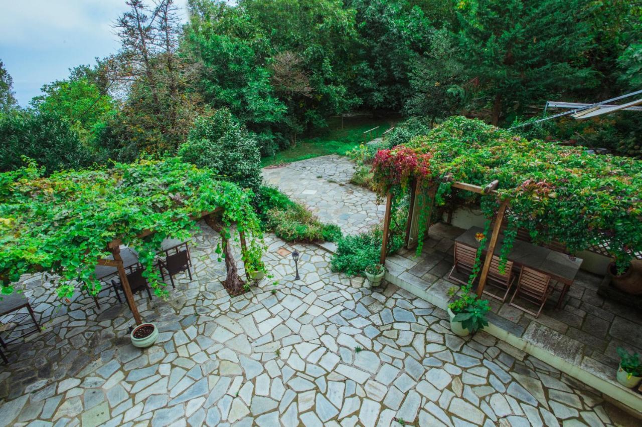 Ellis Full Guest House Tsagkarada Dış mekan fotoğraf